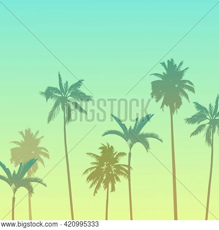 Vector Illustration, Image Of Palm Trees On A Warm Summer Evening