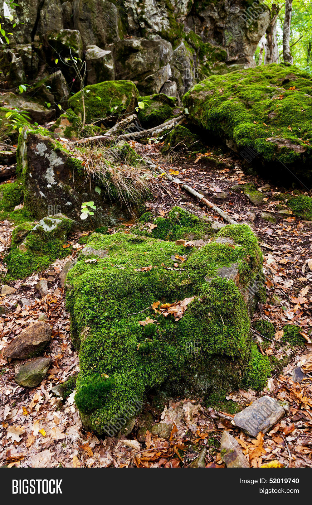Moss-grown Boulders Image & Photo (Free Trial) | Bigstock