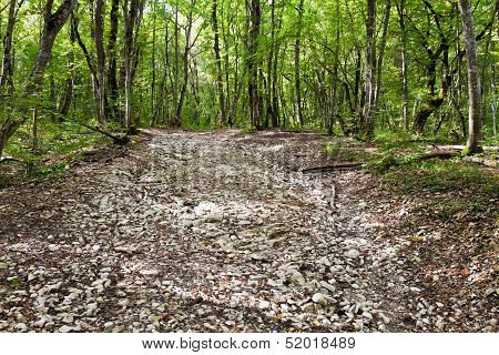 Stone Dried Creek Bed In Mountains
