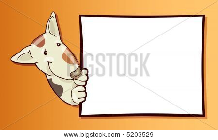 Bullterrier hund med kort