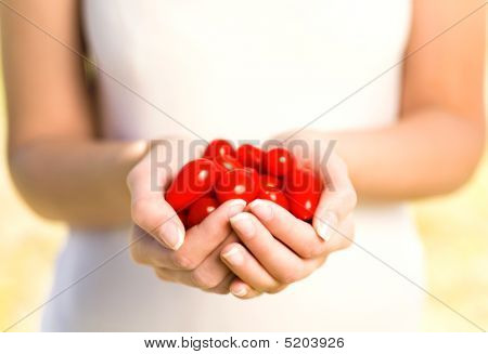 As mãos cheias de tomates cereja