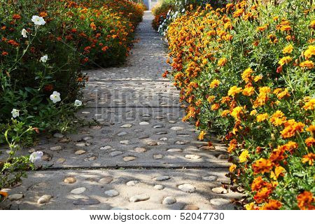 Flowers at Bodrog Monastery in Arad, Romania, Europe