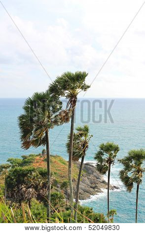 Viewpoint  Phuket ,Thailand