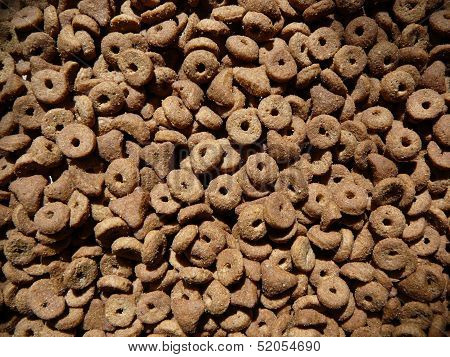cad dog kitten food
