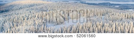Panorama Of Winter Finland