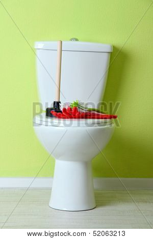 White toilet bowl and cleaner things in a bathroom