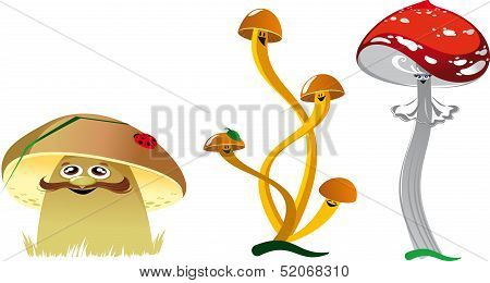 Funny Mushrooms