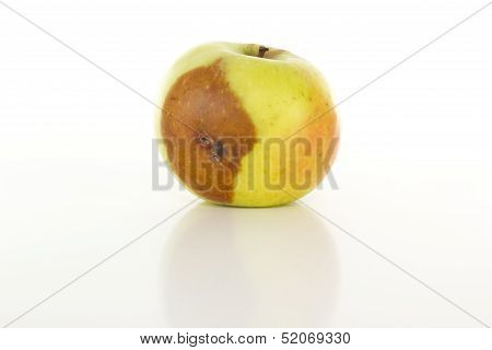 Is There A Worm In That Apple?