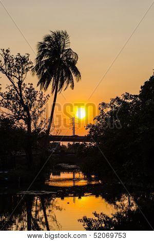 sunset