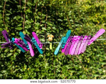 Colorful Character Plastic Pegs On A Line