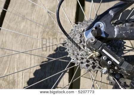Bici Cog
