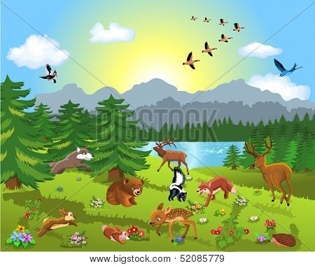 wild animals in the meadow