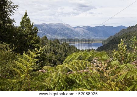 Beautiful Landscape At Pumalin Park.