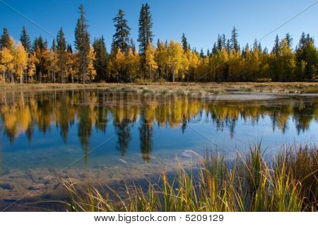 Aspen Mirror Lake