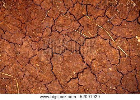 Dried out soil texture closep