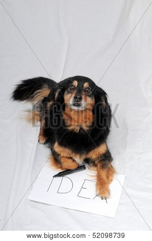 Drawing Dog