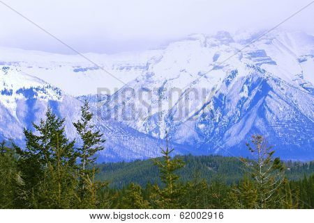 Landscape of high snowy mountains with evegreen trees