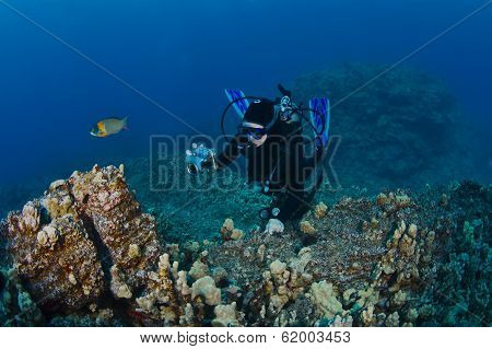 Scuba Diver Taking A Shot Of The Reef