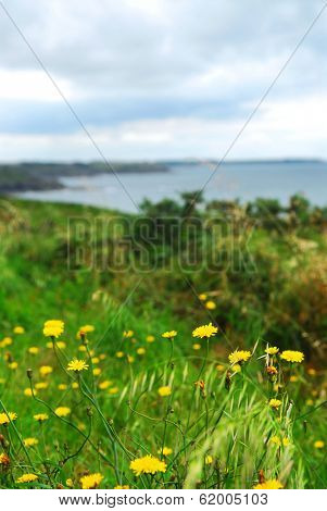 Summer lansdcape of Atlantic coastline in Brittany, France