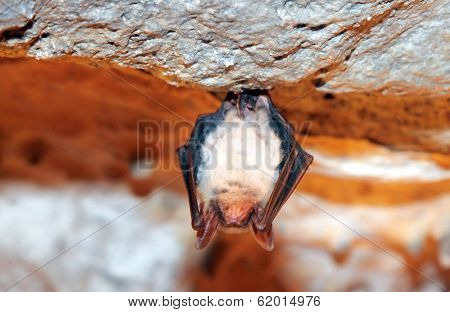 Belianska Cave, Slovakia