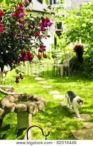 Path of stepping stones leading to a house in lush green garden