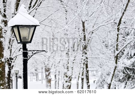 Winter park covered with fresh white snow