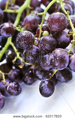 Cluster of red grapes close upi on white background