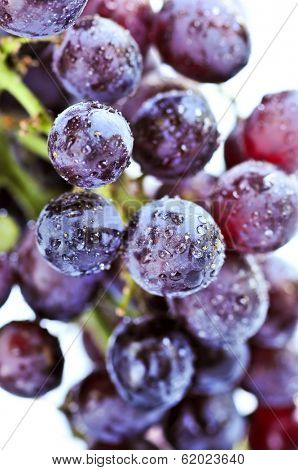 Cluster of red grapes close upi on white background