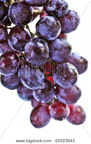 Cluster of red grapes close upi on white background