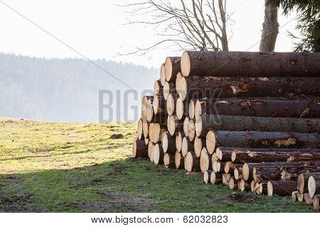 Logs On Field
