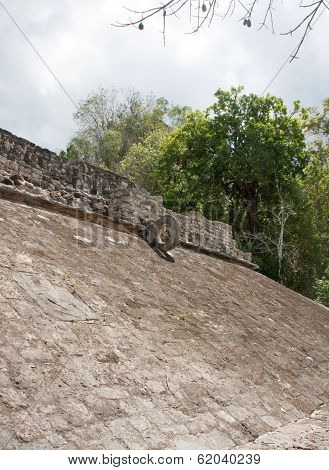 Coba Ruins, Mexico