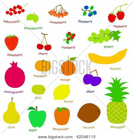 set handdrow fruits and berries