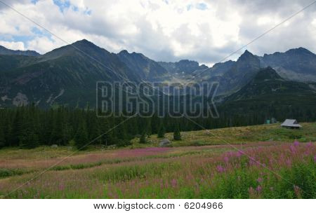 Tatry Orla Perc