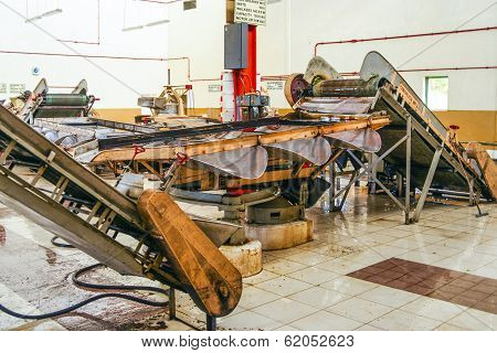 Inside A Tea Factory
