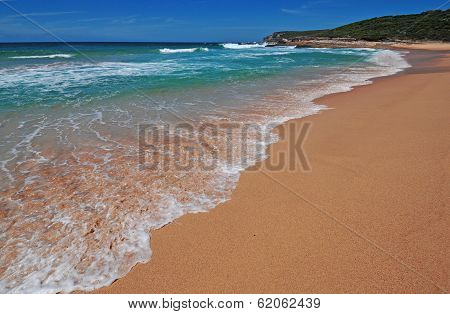 Ocean Beach, Sydney Australia