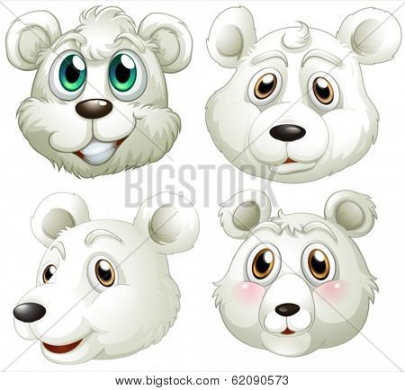 Illustration of the heads of polar bears on a white background