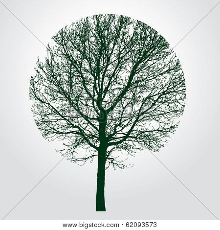 round trimmed tree