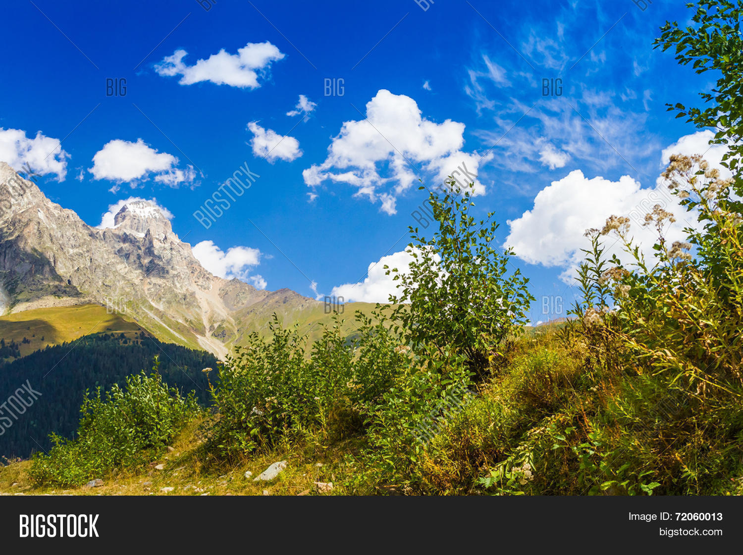 Beautiful View Alpine Image & Photo (Free Trial) Bigstock