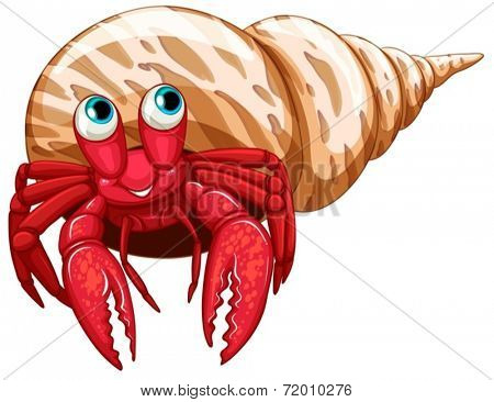 Illustration of a single hermit crab