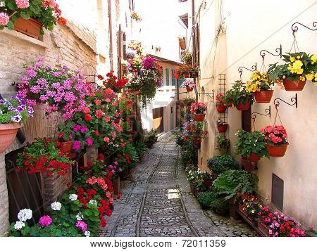 Windows, Balcony And Flower Alleys In Spello - Perugia