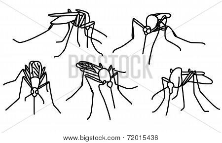 biting mosquitoes
