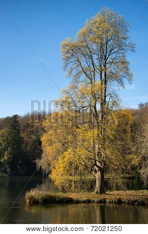 Trees and main lake in Stourhead Gardens during Autumn.