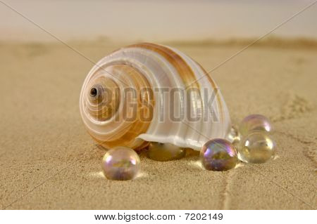 เปลือก ด้วยลูกหินแก้วบนทะเลทราย