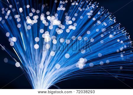 Fibre optic strands 