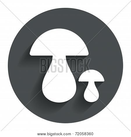 Mushroom sign icon. Boletus mushroom symbol.