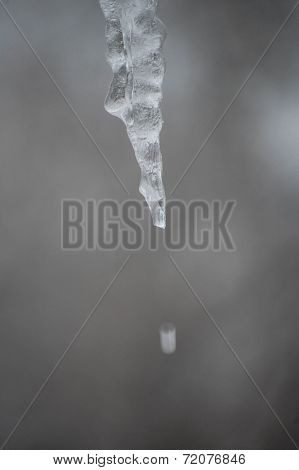 ICICLE