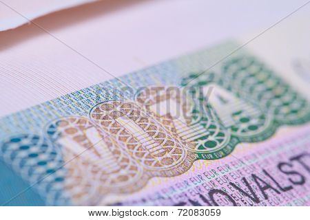 visa in a passport macro