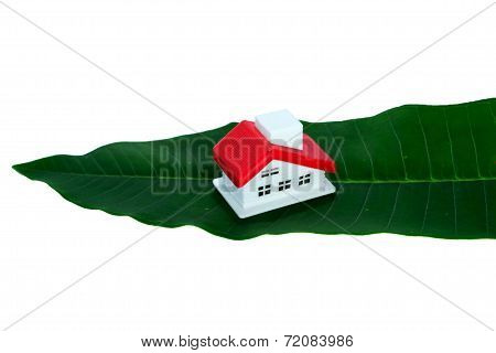 Eco red roof house on green leaf.