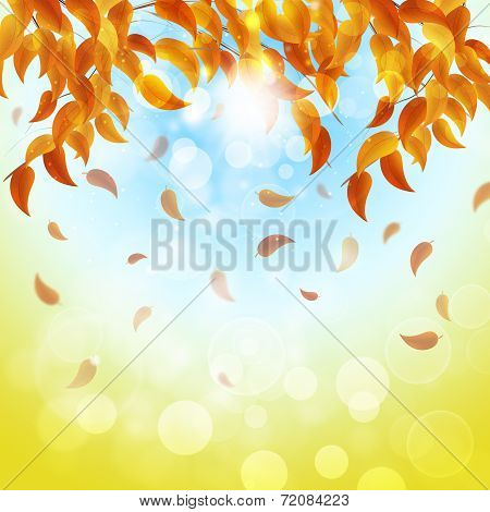 Multicolor Autumn Background