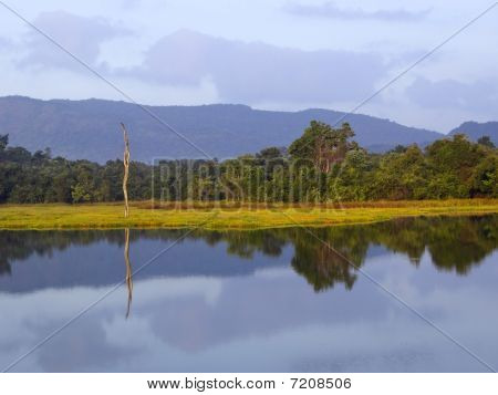 Dunawila Wewa Lago